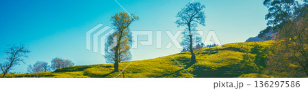 Grassy mountains slope with trees during sunset. Mountain landscape 136297586
