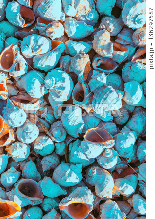Abstract nature rapana background. Rapana texture colored in a trendy blue color. Rapana beach. Vertical banner 136297587