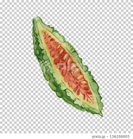 Hand-painted watercolor illustration of a momordica, bitter melon, slice with seeds, isolated on a white background. Ideal for healthy food, cooking, packaging, and menu design. Hand-painted watercolor illustration of a momordica, bitter melon, slice with seeds, isolated on a white background. Ideal for healthy food, cooking, packaging, and menu design. 136298005