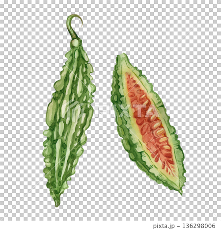 Momordica fruit, half a momordica with seeds. A whole Indian cucumber and half a fruit with seeds, all hand-painted in watercolor. Illustration for printing on product packaging, menus, products. Momordica fruit, half a momordica with seeds. A whole Indian cucumber and half a fruit with seeds, all hand-painted in watercolor. Illustration for printing on product packaging, menus, products. 136298006