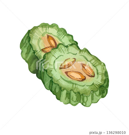 Two slices of bitter melon with seeds. Hand-painted watercolor illustration of Indian momordica, in a healthy eating concept. The illustration is perfect for printing on paper, fabric, and brochures. 136298010