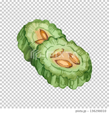 Two slices of bitter melon with seeds. Hand-painted watercolor illustration of Indian momordica, in a healthy eating concept. The illustration is perfect for printing on paper, fabric, and brochures. 136298010