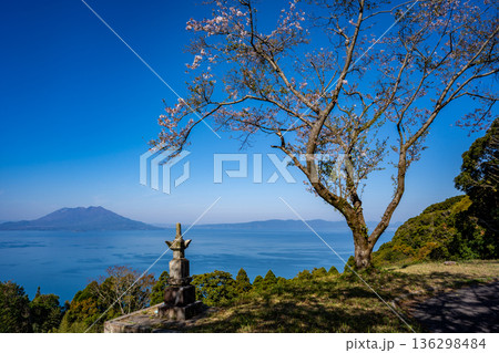 廻城跡（仁田尾城跡）から見る桜島（霧島市） 136298484