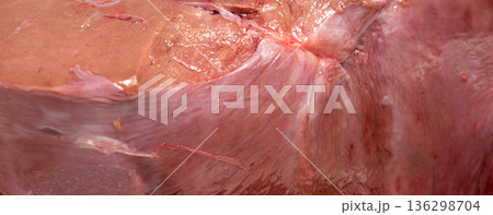 Raw Beef liver background and texture. Raw Beef liver background and texture. 136298704