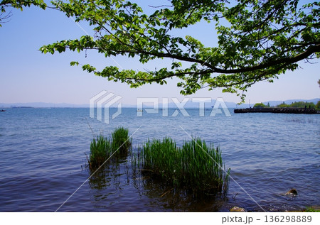 新緑と水辺が広がる琵琶湖の静景 136298889
