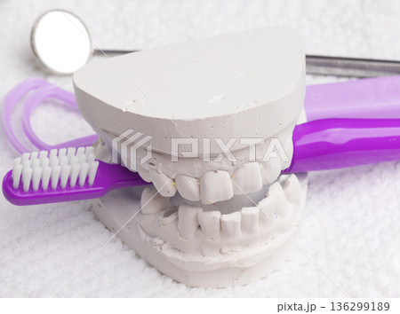 toothbrush with dental gypsum and tools 136299189