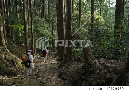 森の山道を進む行者たち 静けさに包まれた巡礼の風景 森の山道を進む行者たち 静けさに包まれた巡礼の風景 136299294