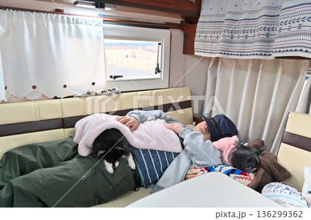 男性にくっついて寝る2匹のチワワ キャンピングカー 旅行 男性にくっついて寝る2匹のチワワ キャンピングカー 旅行 136299362