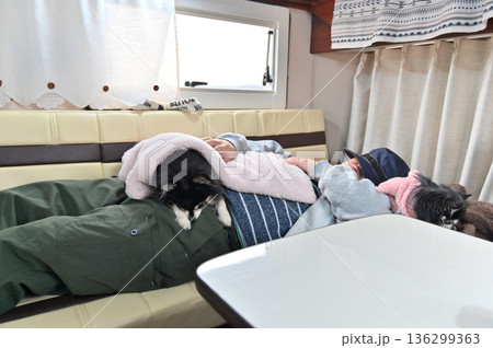 男性にくっついて寝る2匹のチワワ キャンピングカー 旅行 男性にくっついて寝る2匹のチワワ キャンピングカー 旅行 136299363