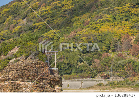 日本　島根県出雲市大社町の稲佐の浜にある弁天島と沖御前神社 136299417