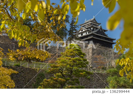 日本　島根県松江市殿町にある現存天守で国宝の松江城の天守閣と紅葉した木々 136299444