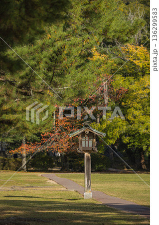 日本　島根県出雲市大社町にある出雲大社の東神苑の紅葉した木々 136299583