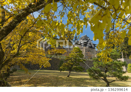 日本 島根県松江市殿町にある現存天守で国宝の松江城の天守閣と紅葉した木々 日本 島根県松江市殿町にある現存天守で国宝の松江城の天守閣と紅葉した木々 136299614