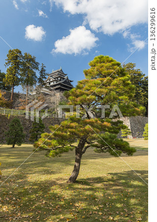 日本　島根県松江市殿町にある現存天守で国宝の松江城の天守閣と紅葉した木々 136299616