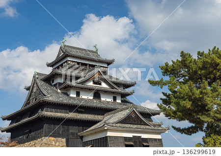 日本　島根県松江市殿町にある現存天守で国宝の松江城の天守閣 136299619