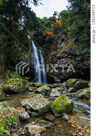 日本　島根県雲南市掛合町にある水飛沫をあげて流れ落ちる龍頭ヶ滝雄滝 136299713