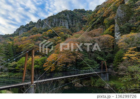 日本 島根県出雲市乙立町の神戸川上流にある渓谷、立久恵峡と紅葉した木々 日本 島根県出雲市乙立町の神戸川上流にある渓谷、立久恵峡と紅葉した木々 136299726