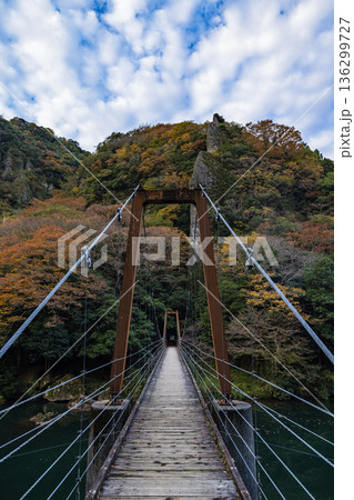 日本 島根県出雲市乙立町の神戸川上流にある渓谷、立久恵峡と紅葉した木々 日本 島根県出雲市乙立町の神戸川上流にある渓谷、立久恵峡と紅葉した木々 136299727