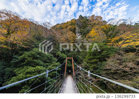 日本 島根県出雲市乙立町の神戸川上流にある渓谷、立久恵峡と紅葉した木々 日本 島根県出雲市乙立町の神戸川上流にある渓谷、立久恵峡と紅葉した木々 136299733