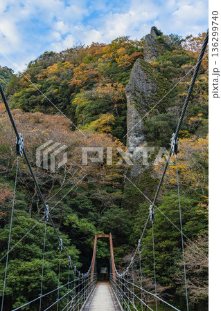 日本 島根県出雲市乙立町の神戸川上流にある渓谷、立久恵峡と紅葉した木々 日本 島根県出雲市乙立町の神戸川上流にある渓谷、立久恵峡と紅葉した木々 136299740