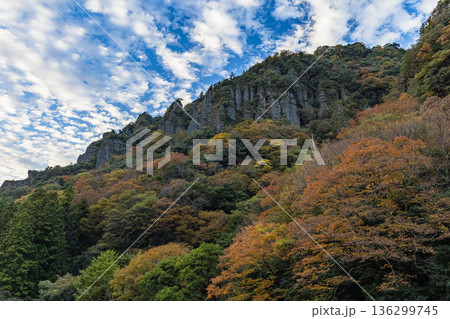 日本 島根県出雲市乙立町の神戸川上流にある渓谷、立久恵峡と紅葉した木々 日本 島根県出雲市乙立町の神戸川上流にある渓谷、立久恵峡と紅葉した木々 136299745