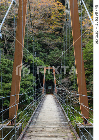 日本　島根県出雲市乙立町の神戸川上流にある渓谷、立久恵峡と紅葉した木々 136299748