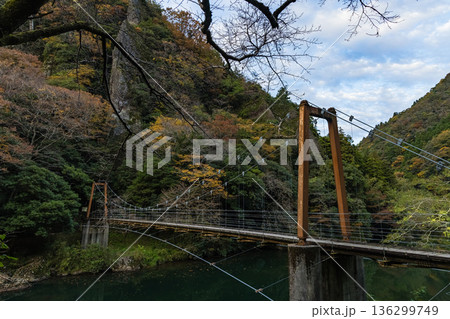 日本　島根県出雲市乙立町の神戸川上流にある渓谷、立久恵峡と紅葉した木々 136299749