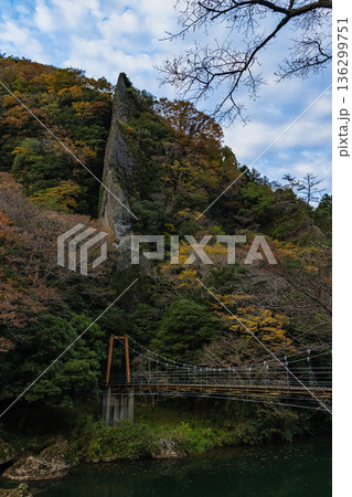 日本　島根県出雲市乙立町の神戸川上流にある渓谷、立久恵峡と紅葉した木々 136299751