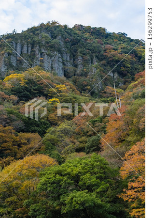 日本　島根県出雲市乙立町の神戸川上流にある渓谷、立久恵峡と紅葉した木々 136299753