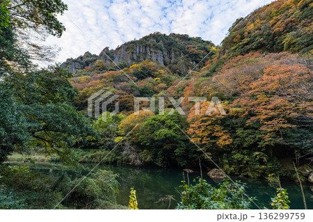 日本 島根県出雲市乙立町の神戸川上流にある渓谷、立久恵峡と紅葉した木々 日本 島根県出雲市乙立町の神戸川上流にある渓谷、立久恵峡と紅葉した木々 136299759