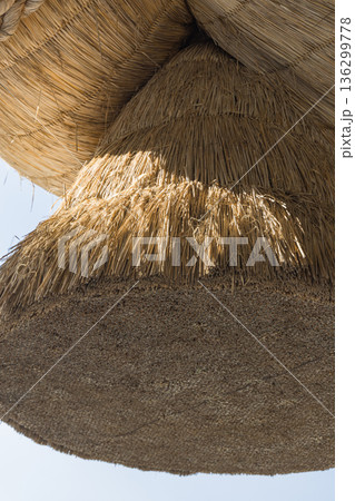 日本　島根県出雲市大社町にある出雲大社の神楽殿の大しめ縄 136299778