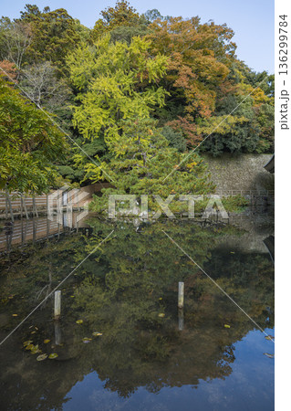 日本　島根県出雲市大社町にある出雲大社の鏡の池 136299784