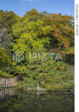 日本　島根県出雲市大社町にある出雲大社の鏡の池 136299785