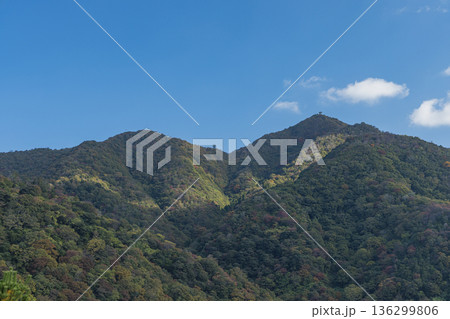 日本 島根県出雲市大社町にある出雲大社から眺める弥山 日本 島根県出雲市大社町にある出雲大社から眺める弥山 136299806