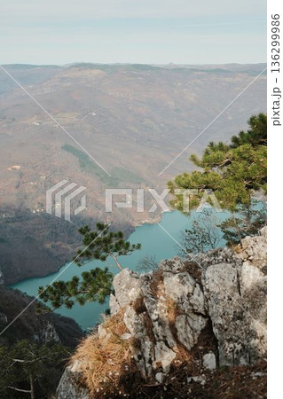 Rocky cliff with pine tree above Perucac Lake and Drina River canyon in Tara National Park, Serbia. Natural mountain view with water and distant hills Rocky cliff with pine tree above Perucac Lake and Drina River canyon in Tara National Park, Serbia. Natural mountain view with water and distant hills 136299986