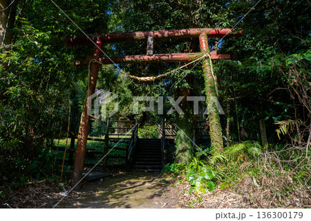 塚崎大塚神社の風景(肝属郡肝付町) 塚崎大塚神社の風景(肝属郡肝付町) 136300179