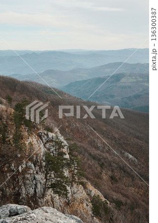 Wide mountain panorama in Tara National Park Serbia with layered hills fading into distance. Peaceful natural landscape expressing calm atmosphere, space, and scenic outdoor travel Wide mountain panorama in Tara National Park Serbia with layered hills fading into distance. Peaceful natural landscape expressing calm atmosphere, space, and scenic outdoor travel 136300387