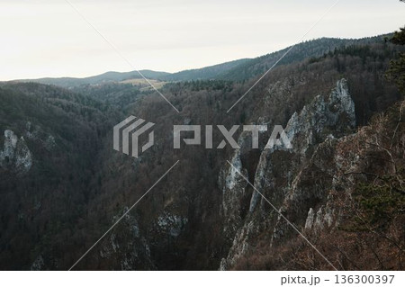 Mountain canyon landscape in Tara National Park Serbia with steep rocky cliffs and forested slopes under soft cloudy sky. Wild nature scene symbolizing freedom, exploration, and untouched wilderness Mountain canyon landscape in Tara National Park Serbia with steep rocky cliffs and forested slopes under soft cloudy sky. Wild nature scene symbolizing freedom, exploration, and untouched wilderness 136300397