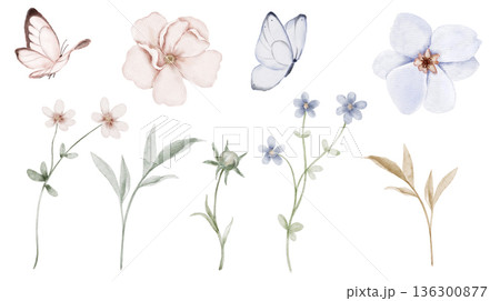 Watercolor floral set with soft pastel flowers butterflies and thin stems in pink beige and blue tones. Illustration for invitations, postcards, packaging labels, stationery or gentle spring designs. Watercolor floral set with soft pastel flowers butterflies and thin stems in pink beige and blue tones. Illustration for invitations, postcards, packaging labels, stationery or gentle spring designs. 136300877