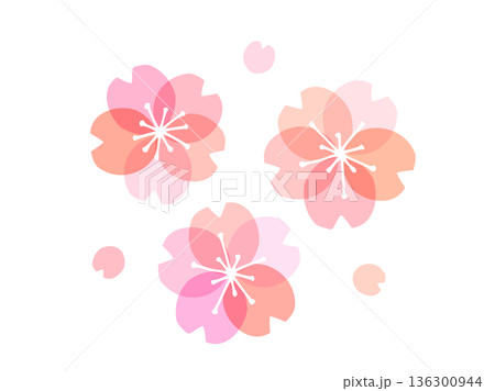 かわいい桜の花のイラスト かわいい桜の花のイラスト 136300944