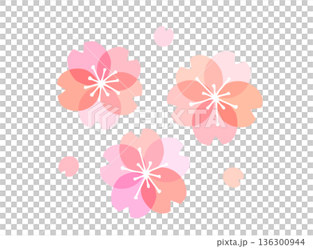 かわいい桜の花のイラスト かわいい桜の花のイラスト 136300944