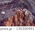切り株に残る雪 冬の名残 Snow Left on a Tree Stump 136300991