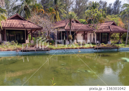 A ruined abandoned hotel in Southeast Asia. The rickety houses in front of the pool with green dirty water are overgrown with jungle. Bankruptcy of the tourism business. High quality photo 136301042