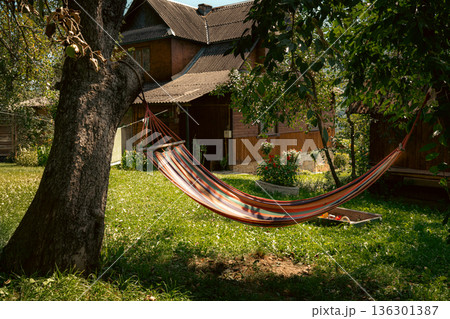 Hammock in Sunny Garden Near Wooden House Hammock in Sunny Garden Near Wooden House 136301387