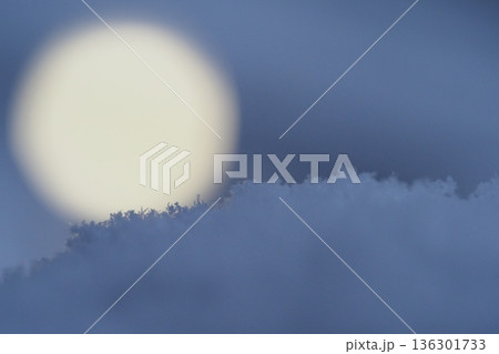 新雪と満月 136301733