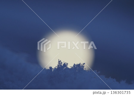 新雪と満月 136301735