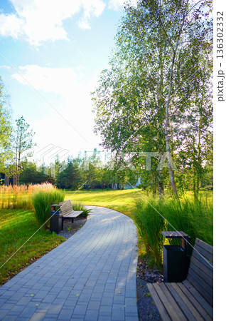 Bench in Garden path urban spaces. Walkway in City Park at Modern Buildings. Bench in Garden path urban spaces. Walkway in City Park at Modern Buildings. 136302332
