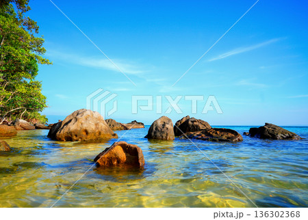Bright shoreline with clear ocean water, trees on coast in tropical wild island. Sea meets shore 136302368