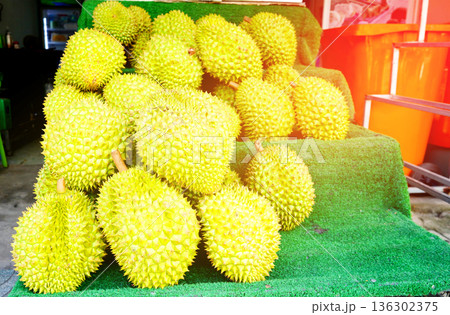 Durian fruits displayed at market in Southeast Asia for buyers and visitors. Group of durian fruits Durian fruits displayed at market in Southeast Asia for buyers and visitors. Group of durian fruits 136302375