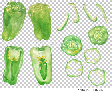 水彩画ピーマンのイラスト 水彩画ピーマンのイラスト 136302650